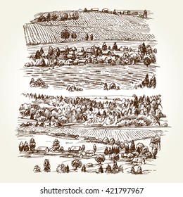 Vineyard. Agricultural landscape. Hand drawn collection.