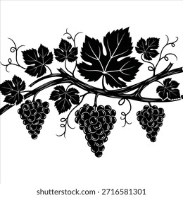 Vineyard branches with ripe grape clusters and green leaves in black and white. Natural organic farming background. Artistic sketch of fruit.