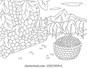 Vineyard coloring graphic black white landscape sketch illustration vector