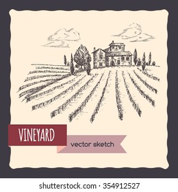 Vineyard and cottage landscape hand drawn vector sketch. Great for vine and travel ads, brochures, labels.