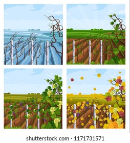 Vineyard different season set collection Vector decor