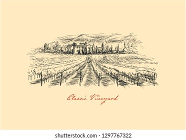 Vineyard. Drawing Classic Vineyard Landscape