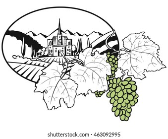 Vineyard Farm Cover Design with colored Grapes, Hand drawn Vector Artwork