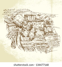 vineyard France - hand drawn illustration