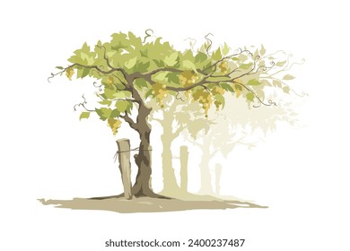 Vineyard -- free hand drawing, sketch in watercolor style. Vector illustration, design element for wine products.