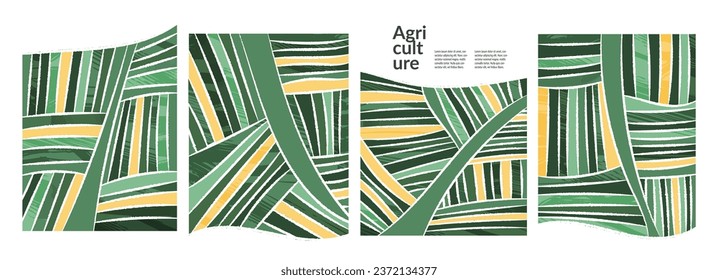 Ilustración vectorial de la agricultura de viña de uva abstracta de campo. Fondo retro ecológico con textura. Afiche de vista aérea de la granja, mapa geométrico, paisaje de jardín simple, plantación de arroz orgánico