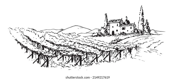 Vineyard with Grape Field. Background for Wine label design. Vector Tuscany Landscape with house and wineyard in vintage style