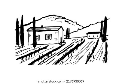 Vineyard with Grape Field drawing. Ink hand drawn scene for Wine label design. Vector Tuscany Landscape with house and mountains