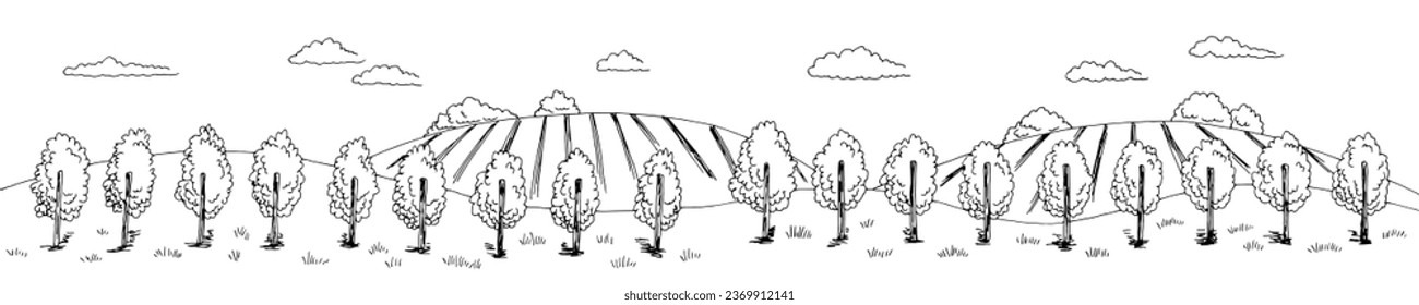 Vineyard graphic black white landscape sketch long illustration vector 