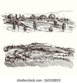 vineyard - hand drawn collection
