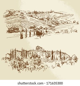 vineyard - hand drawn illustration