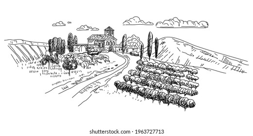Escaneo dibujado a mano en viñedos. Paisaje rural rural Francia, Italia, estilo vintage mediterráneo. Ilustración del vector