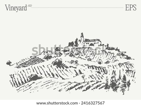 Vineyard hand drawn vector illustration, realistic drawing of grape plants and winery farmhouse