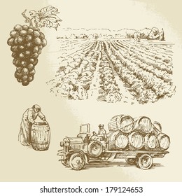 vineyard, harvest, farm - hand drawn collection