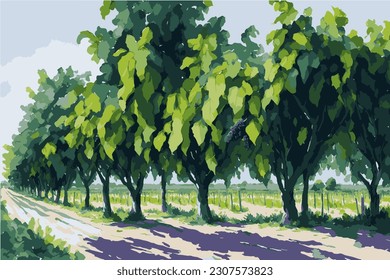 Vineyard illustration. Vector illustration of vines. Grape fields.