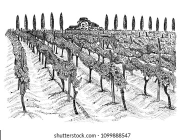 Vineyard landscape with building on the hill and trees beside. Hand drawn sketch vector illustration isolated on white