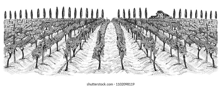 Vineyard landscape with building on the hill and trees beside. Hand drawn horizontal sketch vector illustration isolated on white