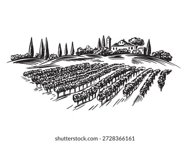Vineyard landscape with building on the hill hand drawn