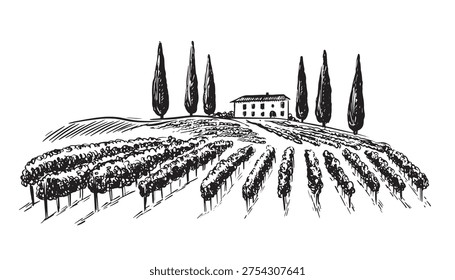 Vineyard landscape with building on the hill hand drawn, set.