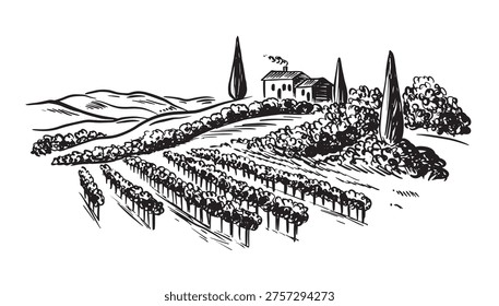Vineyard landscape with building on the hill hand drawn.	