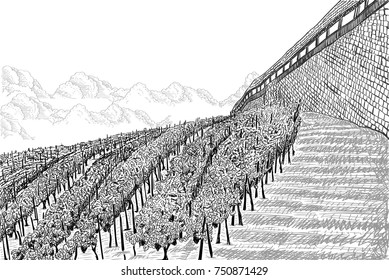 Vineyard landscape with clouds and castle wall. Hand drawn sketch vector illustration on white