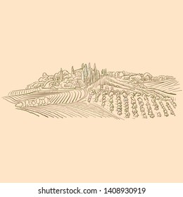 Vineyard Landscape drawing, brown colored version for Apps, Print or web backgrounds