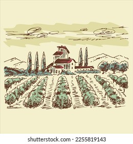 Vineyard landscape. Farm grape fields with houses agricultural hand drawn engraving style vector illustration. Good for a wine label design. 