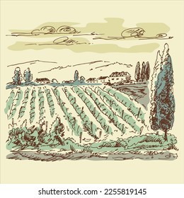 Vineyard landscape. Farm grape fields with houses agricultural hand drawn engraving style vector illustration. Good for a wine label design. 