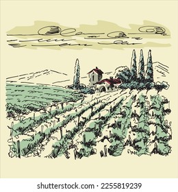 Vineyard landscape. Farm grape fields with houses agricultural hand drawn engraving style vector illustration. Good for a wine label design. 