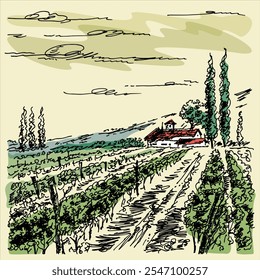 Vineyard landscape. Farm grape fields with houses agricultural hand drawn engraving style vector illustration. Good for a wine label design.