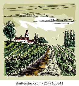 Vineyard landscape. Farm grape fields with houses agricultural hand drawn engraving style vector illustration. Good for a wine label design.