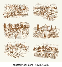 Vineyard Landscape. France Or Italy Vintage Village Wine Vineyards Vector Hand Drawn Illustrations. Winery Landscape Drawing, Farm Agriculture Grape