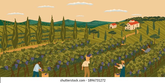 Vineyard landscape with grape tree field and winery villa on background. Hand draw vector illustration poster. The harvesting of wine grapes. People work on a winery field