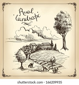 Vineyard Landscape - hand drawn illustration 
