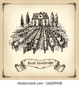 Vineyard Landscape - hand drawn illustration 