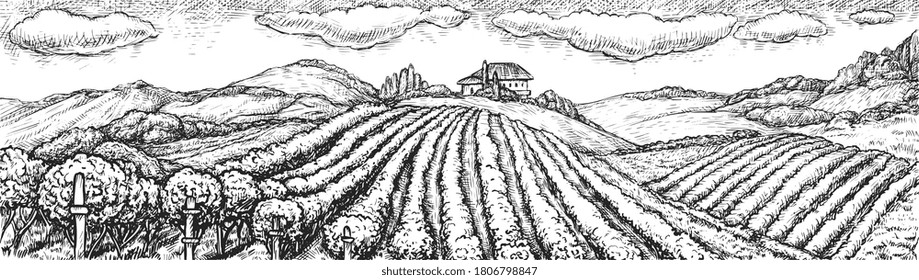 Vineyard landscape. Hand drawn rustic vineyard seamless rural landscape sketch doodle illustration. Vine grape bush plantation field on hill and winery building on background. Viticulture vector