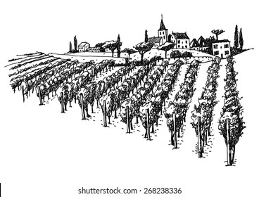 vineyard landscape ink pen picture - vector