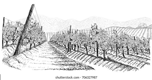 Vineyard landscape with mountains and building on the hill. Hand drawn sketch vector illustration isolated on white