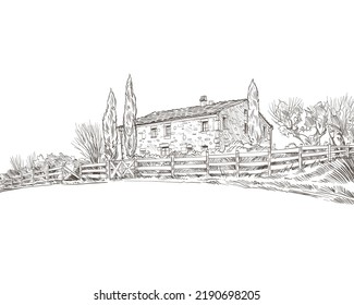 Vineyard landscape vector sketch design. Hand drawn illustration