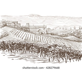 Vineyard Landscape Vector Sketch Design. Hand Drawn Illustration