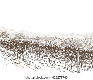 Vineyard Landscape Vector Sketch Design. Hand Drawn Illustration