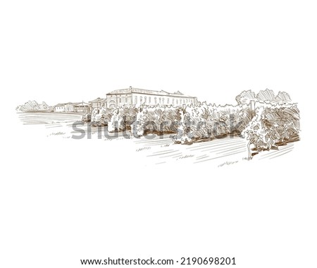 Vineyard landscape vector sketch design. Hand drawn illustration