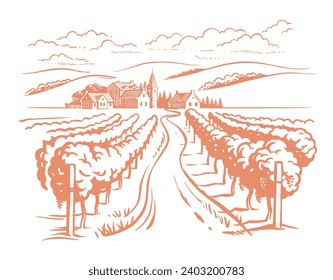 Vineyard landscape vector sketch. Grape plants