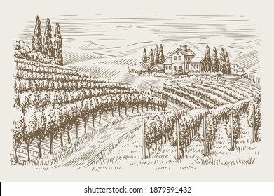 Vineyard landscape vintage. Hand drawn sketch vector illustration