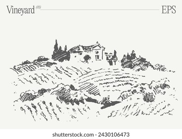 Vineyard Landscape. Vintage wine Label Background. Hand drawn vector illustration, sketch.