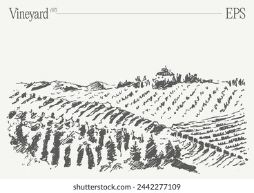 Vineyard Landscape. Vintage wine Label Background. Hand drawn vector illustration, sketch.