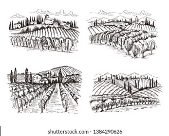 Vineyard. Old france chateau wine landscape hand drawn vector illustrations for labels design projects. Winery landscape, vineyard farm