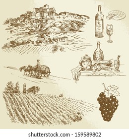 vineyard, rural landscape - hand drawn illustration