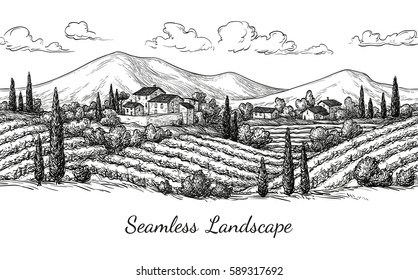 Vineyard seamless landscape. Vine sketch isolated on white. Hand drawn vector illustration.