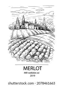 Vineyard sketch. Realistic landscape in an engraving style. Vector ink illustration 